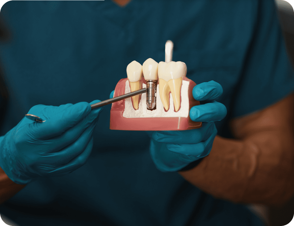 teeth